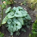 oktober 010