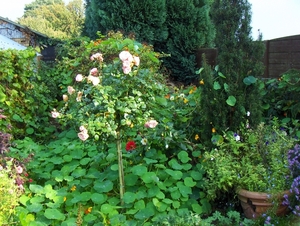 oktober 015
