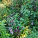 oktober 030