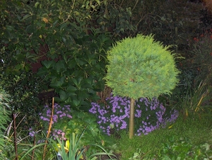 Het kempke bij avond 008