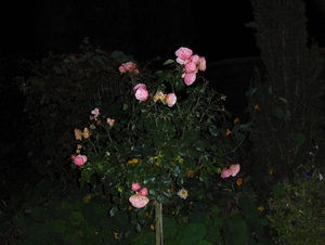 Het kempke bij avond 014