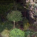 Het kempke bij avond 020