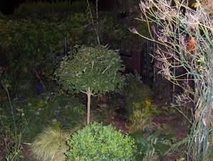 Het kempke bij avond 020