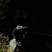 het kempke bij avond 040