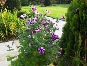 november 008