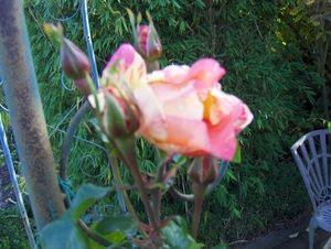 november 018