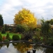 herfst 001