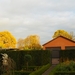 herfst 003