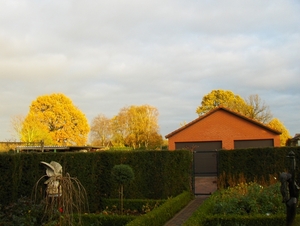 herfst 003