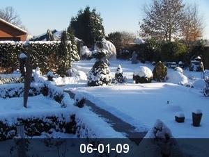 winter