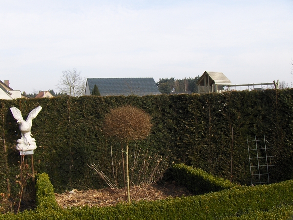 februari 004
