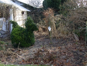 februari 010