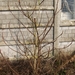 februari 012