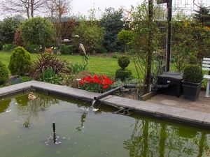lente in de tuin 012