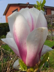 lente in de tuin 025