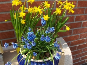 lente in de tuin 032