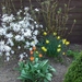 lente in de tuin 033