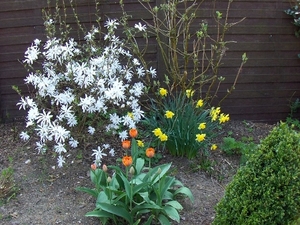 lente in de tuin 033