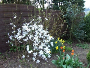 lente in de tuin 035