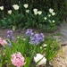 lente in de tuin 036