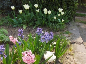 lente in de tuin 036