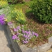 lente in de tuin 039