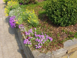 lente in de tuin 039