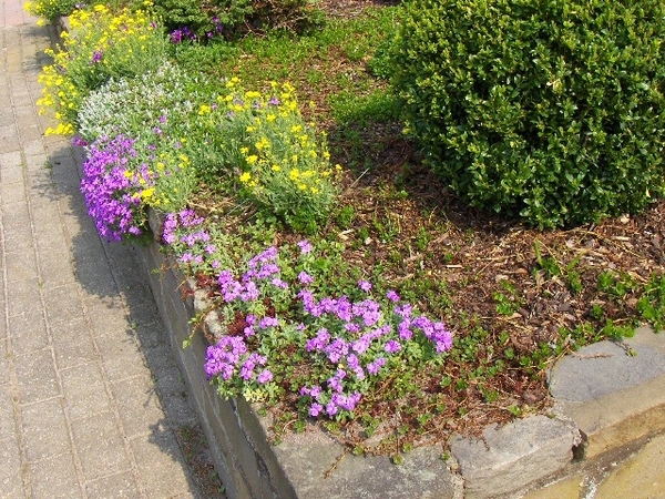 lente in de tuin 039
