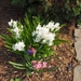 lente in de tuin 042