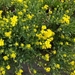 lente in de tuin 047