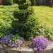 lente in de tuin 050
