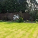 lente in de tuin 051