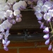 eind april 005