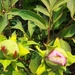 eind april 011