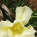 eind april 012