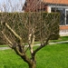 eind april 029