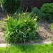 eind april 032