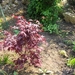 eind april 033