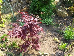 eind april 033