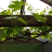 eind april 038