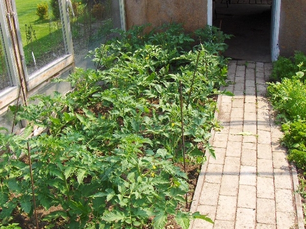 eind april 048