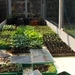 eind april 053