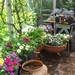 eind april 054