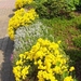 eind april 084