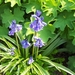 eind april 085