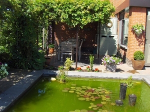 de eerste bloei 021