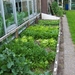 begin van de zomer 033