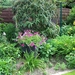 begin van de zomer 044