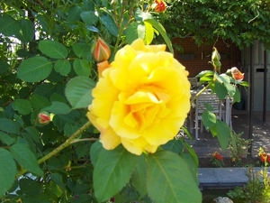 28-05-09 019