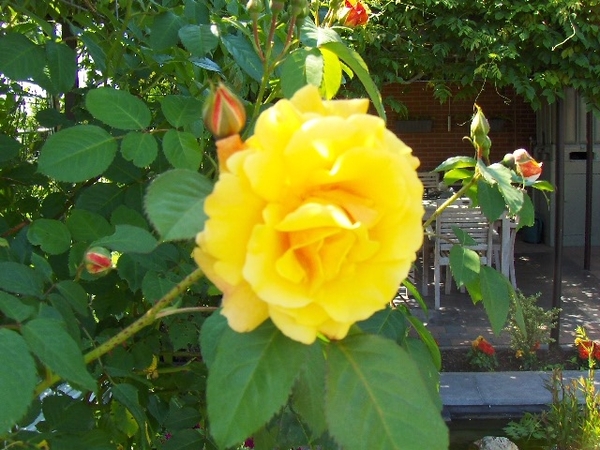 28-05-09 019